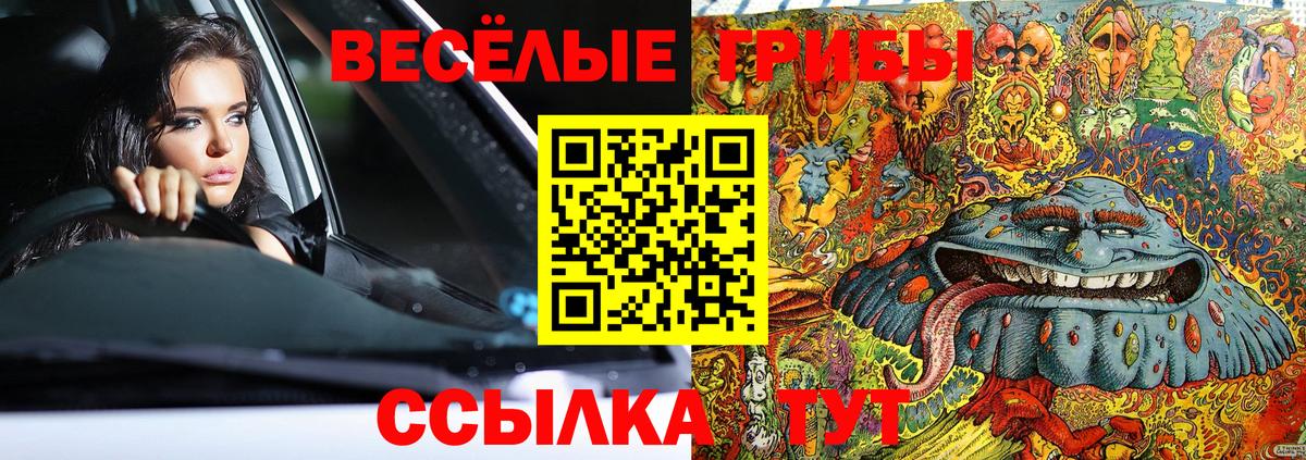 Псилоцибиновые грибы Magic Shrooms Карасук