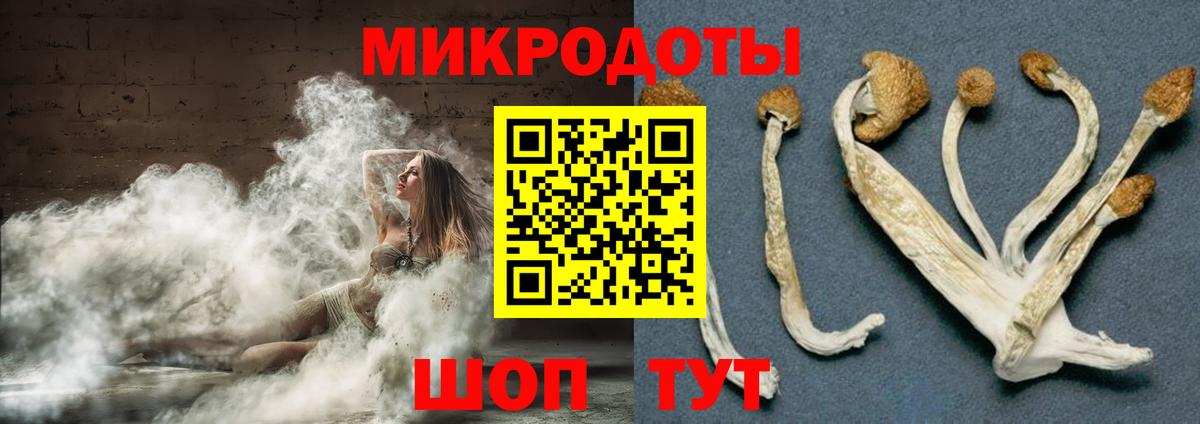 Псилоцибиновые грибы GOLDEN TEACHER  Галлюциногенные грибы Cubensis  Карасук  Вход с VPN 
